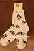 Basset Hound Poses Polyester/Nylon Dog Socks - One Pair by FBF