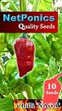 Naga Jolokia bhut (dorset) Chilli seeds. The Hottest Chilli pepper on the planet. Now you can grow your own. Pack of 10 Seeds. Ghost pepper.