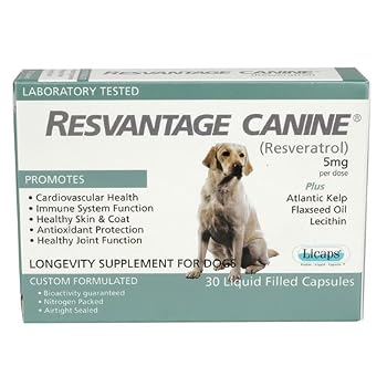Set A Shopping Price Drop Alert For Resvantage Canine (Resveratrol) - 30 caps