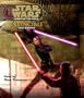 Star Wars: Legacy of the Force: Invincible