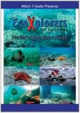Floridas Best Shore Dives