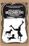 How to Have a Healthier Dog: The Benefits of Vitamins and Minerals for Your Dog's Life Cycles
