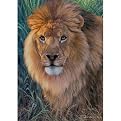 Ravensburger Animal King 1,500 pc pzl