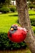Cardinal Portly - Birdhouse