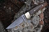 Price Cut - Handmade Damascus Hunting Knife -- Amazing Value