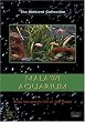 Malawi Aquarium