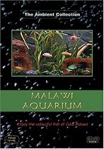Malawi Aquarium