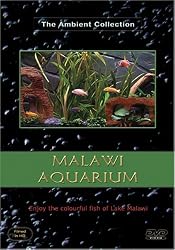 Malawi Aquarium