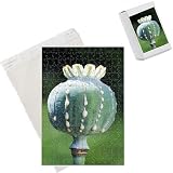 Photo Jigsaw Puzzle of Opium Poppy Scarlet from Ardea Wildlife Pets