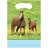 Creative Converting Wild Horses 8 Count Party Favor Loot Bags
