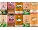 Photographic Print of Traditional chinese herbal medicines in a shop in Kendal UK from Specialist Stock
