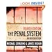 The Penal System: An Introduction