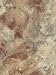 Wallpaper Paper Illusions Birdseye Maple PL185606