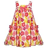 Baby Girls Summer Clothes BRIGHT FLORAL Dress BONNIE JEAN Spring 12-24M