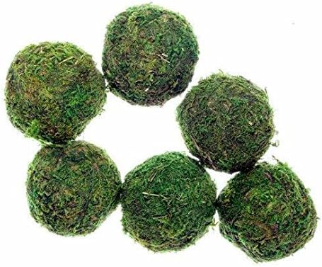 Set of 6, 2" Decorative Moss ball, green moss ball, large moss ball