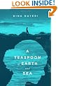 A Teaspoon of Earth and Sea: A Novel