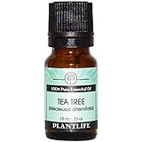 Tea Tree 100% Pure Essential Oil - 10 ml