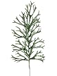 20.5" Princess Garden Dark Green Glitter Drenched Staghorn Fern Craft Pick Spray