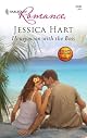 Honeymoon with the Boss (Romance)