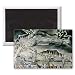 Illustrations of the Book of Job; Job's Evil.. - 3x2 inch Fridge Magnet - large magnetic button - Magnet
