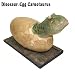 ダイナソーディノエッグ（Dino Egg）シリーズ　カルノタウルス_s-1