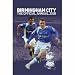 Book Official Birmingham FC Annual 2008
