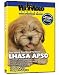 LHASA APSO DVD: Everything You Should Know + Dog & Puppy Training Bonus