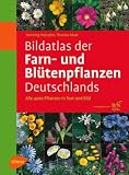 Bildatlas der Farn- und Bl&uuml;tenpflanzen Deutschlands: Alle 4200 Pflanzen in Text und Bild - Henning Haeupler, Thomas Muer