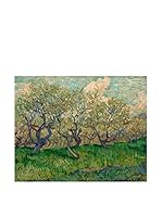 Especial Arte Lienzo Bloeiende boomgaard  Multicolor