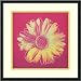 Daisy (yellow on pink), 1982 Framed Print by Andy Warhol Framed