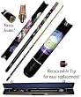 9 BALL GALAXY Pool Stick (fls)