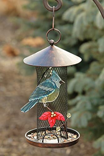 Your Hearts Delight Glass Blue Jay on Screen Bird Feeder, 5-3/4-Inch by 11-Inch