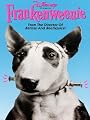 play video on Amazon Instant Video