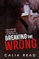 Breaking the Wrong (Sloan Brothers)