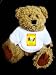 Spielwaren : Teddy Bear mit Concertina, Akkordeon t-shirt