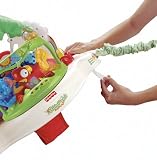 Fisher-Price Rainforest Jumperoo