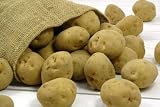 【訳あり】ジャガイモ 北海道・十勝産 メークイン5ｋｇ メガ盛箱