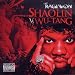 Shaolin Vs Wu-Tang
