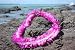 Maunaloa Vanda, Lavender 18