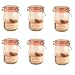 Set of 6 1 Litre Round Cliptop Jars