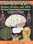 Bones, Brains and DNA: The Human Genome and Human Evolution