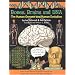 Bones, Brains and DNA: The Human Genome and Human Evolution
