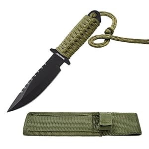 WOWOWO Outdoor Camping Survivor Combat Military Tactical Knife with Nylon sheath Fixed Blade Survival (Green)