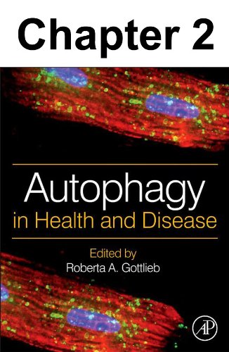 Chapter 002, Molecular Machinery and Genetics of the Autophagy Pathway