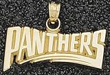 Carolina Panthers Solid 14K Gold Panthers Pendant