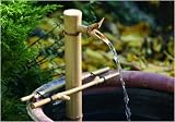 12in. Adjust Spout & Pump Kit