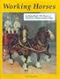 Working Horses: Looking Back 100 Years to America's Horse Drawn-Days