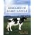 Rebhun's Diseases of Dairy Cattle