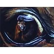 The Eye of the Beholder 1000pc Jigsaw Puzzle by Kim McElroy