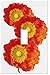 Orange Poppy Flower Wallplate Decorative Switch Plate Cover (1 Gang - Single